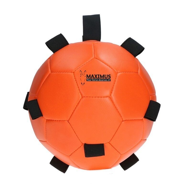 Maximus Fun Spielball