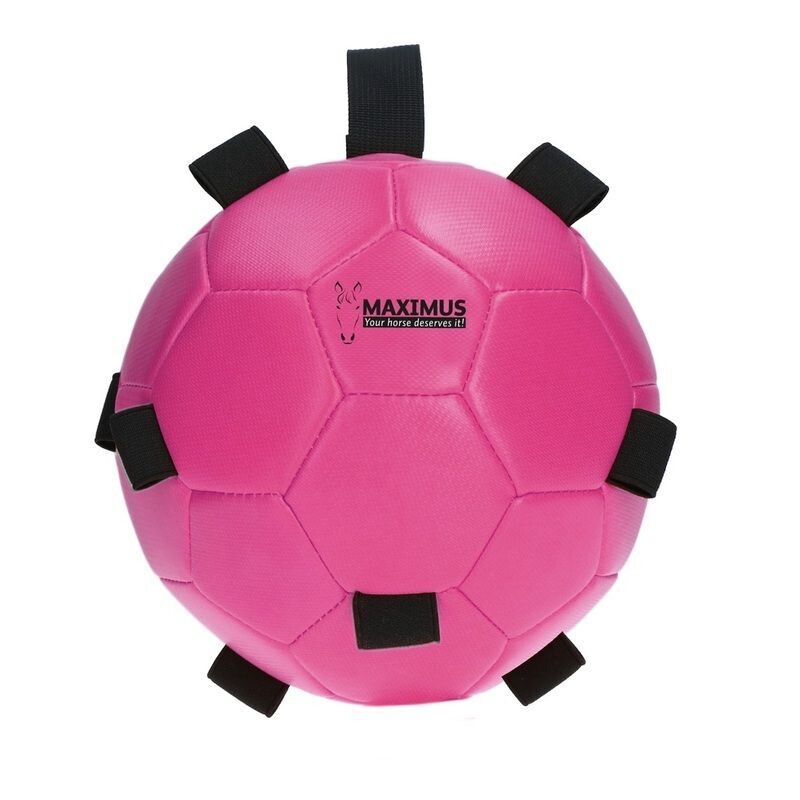 Maximus Fun Spielball