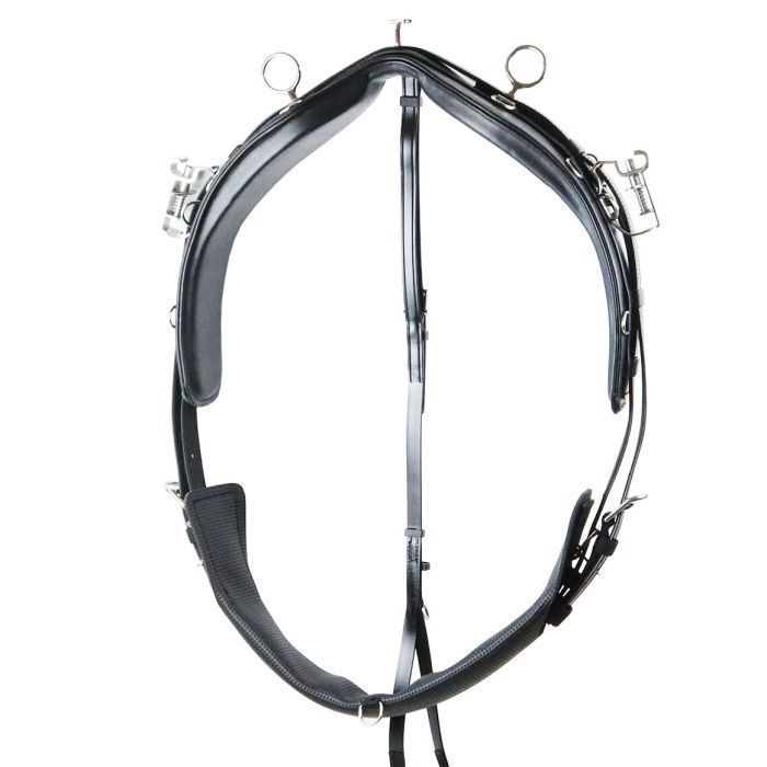 Star Tack Trainings-Geschirr Kit