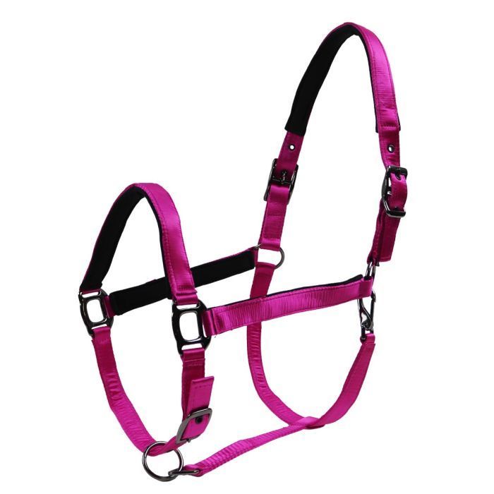 Black Edition Pro Soft Halfter