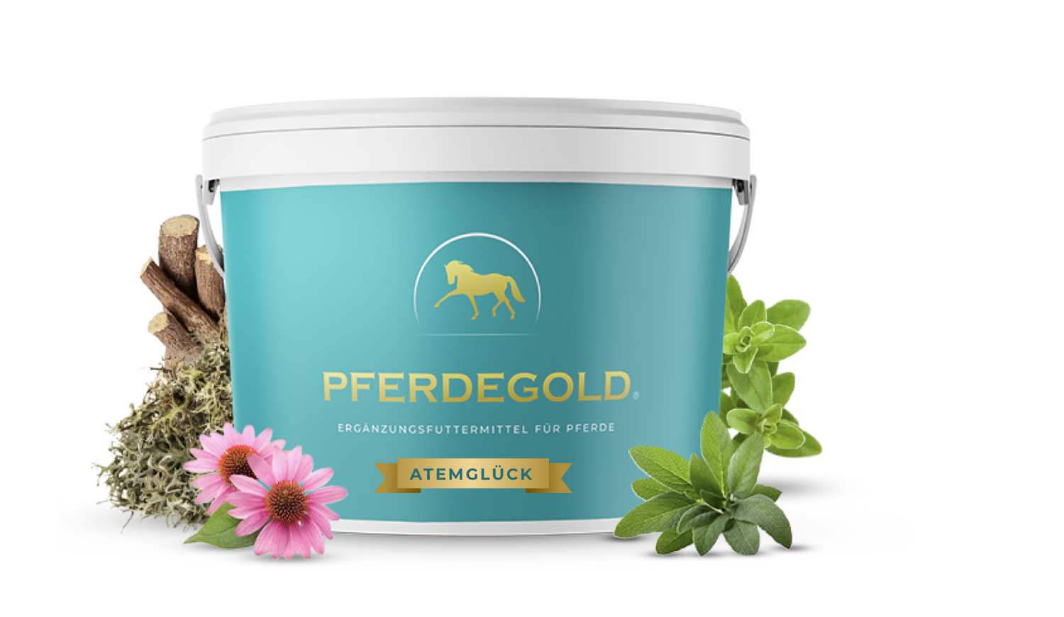 Pferdegold - Atemglück