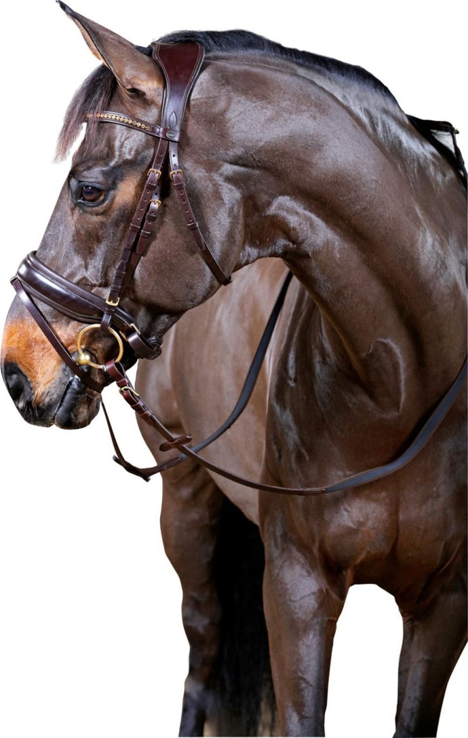 HorseGuard Ergo Trensenzaum