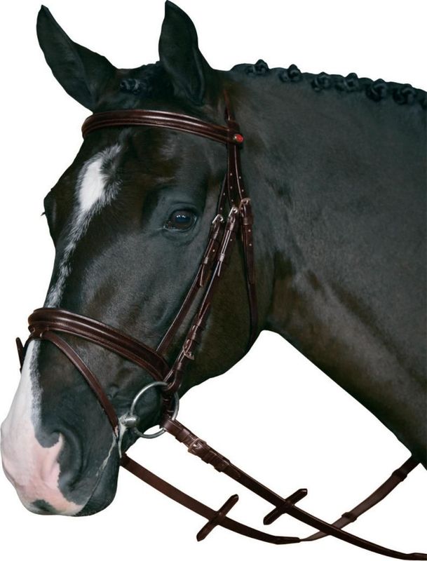 HorseGuard Trensenzaum mit Supergrip-Zügel