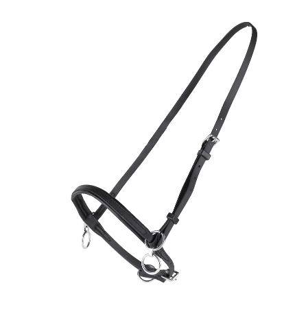 Finntack Beta Sperrhalfter, Farbe: Schwarz