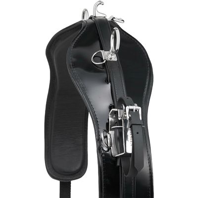 Wahlsten Premium Nurmos QH Selet Biothane