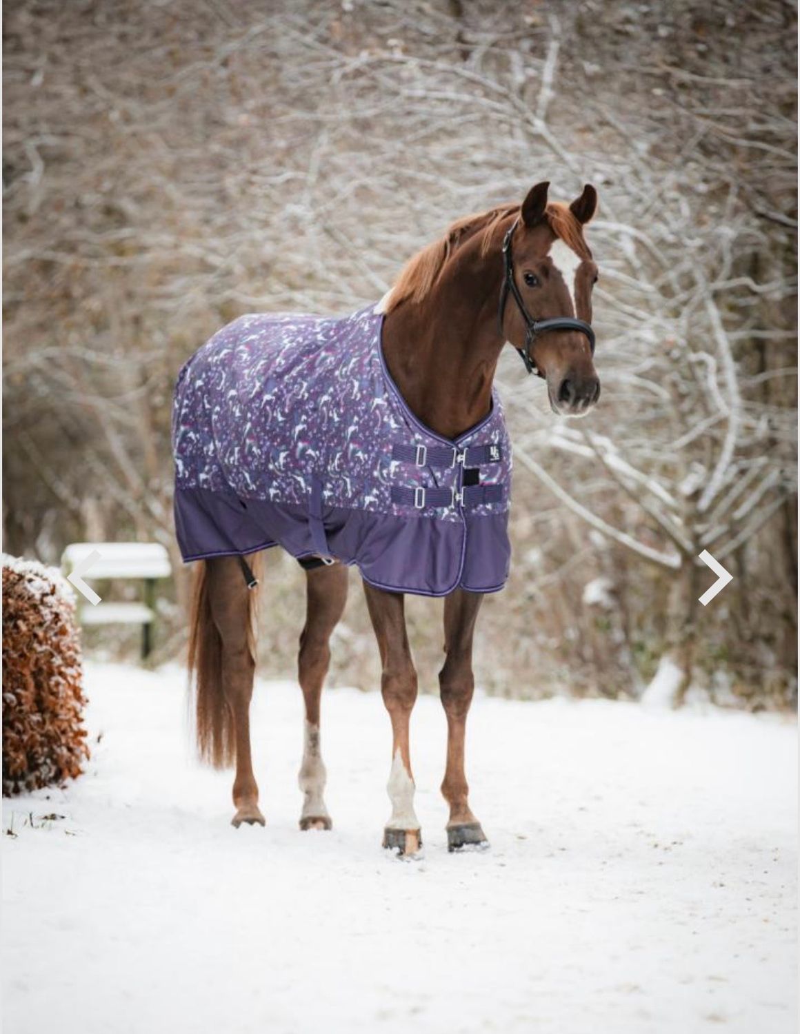 HG Josh Pony Outdoordecke  100gr, Farbe: Montana Grape, Größe: 145cm