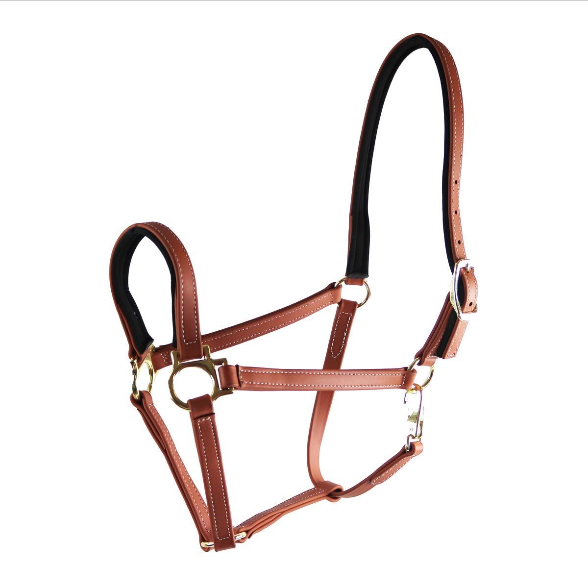 StarTack Biothane Halfter 19mm