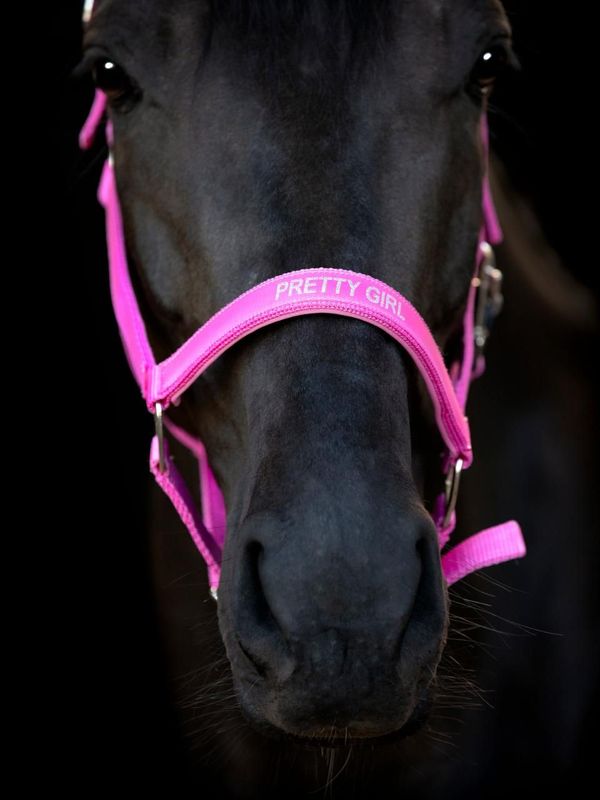 Horse Guard Malva Halfter – mit Glitzer-Schriftzug