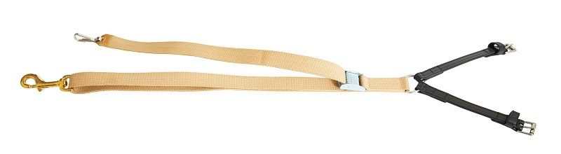 Wahlsten Premium Hinterscheck