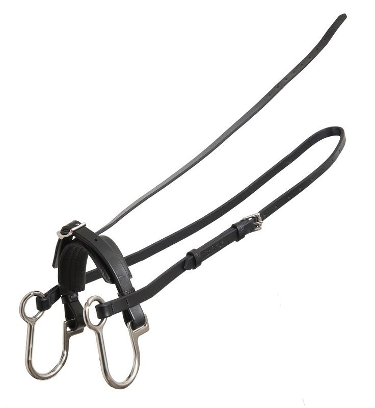 Wahlsten Premium Hackamore
