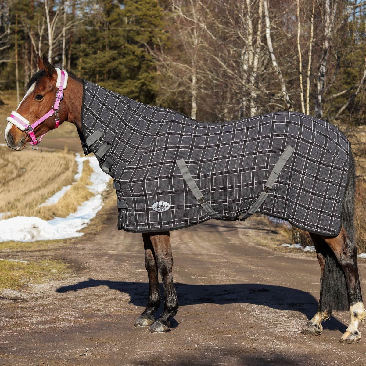 Best on Horse Honeycomb Cooler mit Halsteil