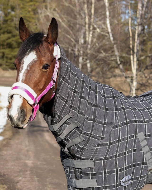 Best on Horse Honeycomb Cooler mit Halsteil