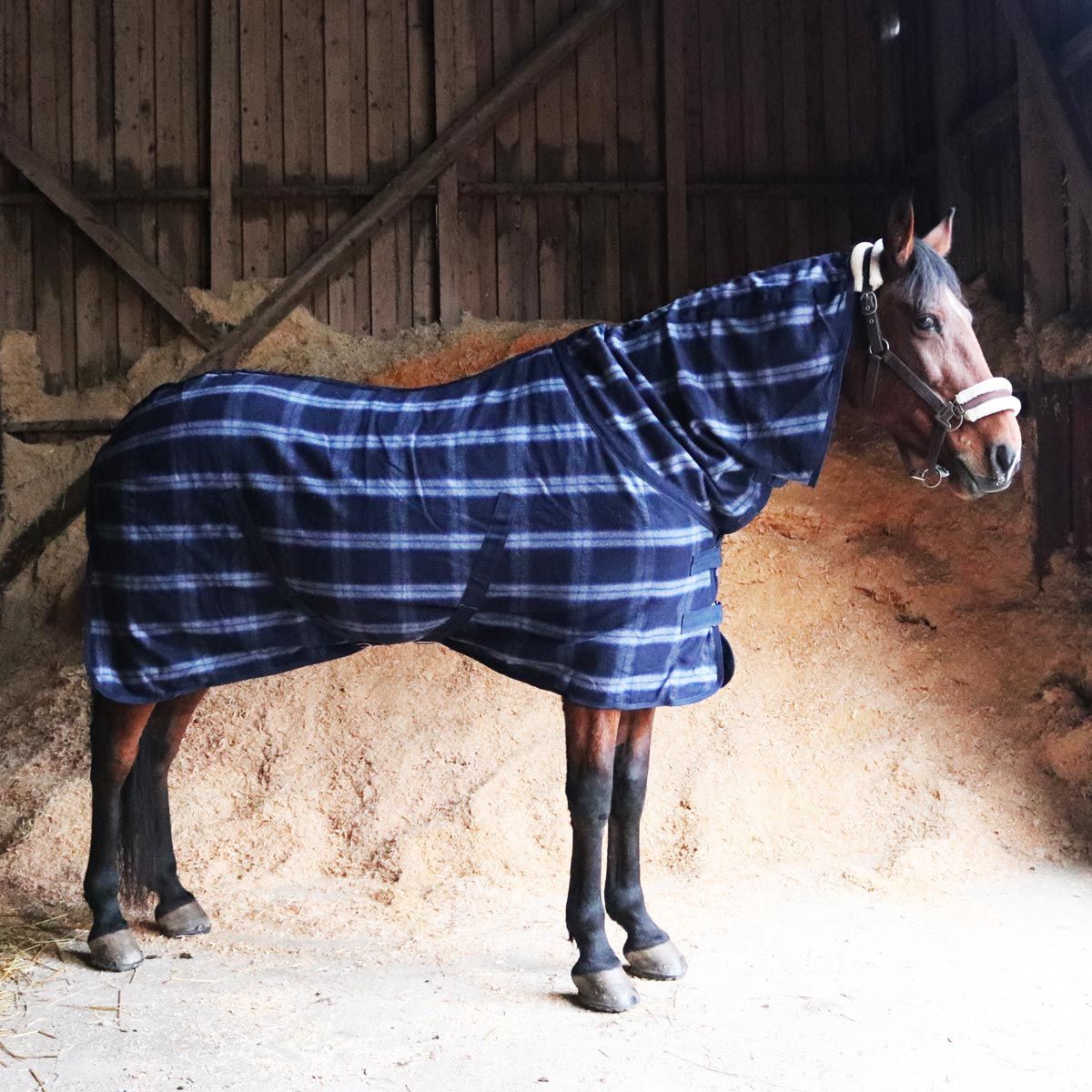 Best on Horse Wolldecke mit Halsteil