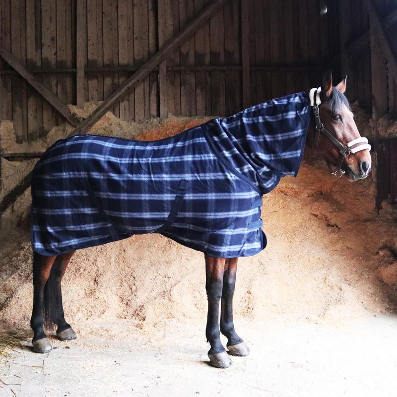 Best on Horse Wolldecke mit Halsteil Best on Horse Wolldecke mit Halsteil