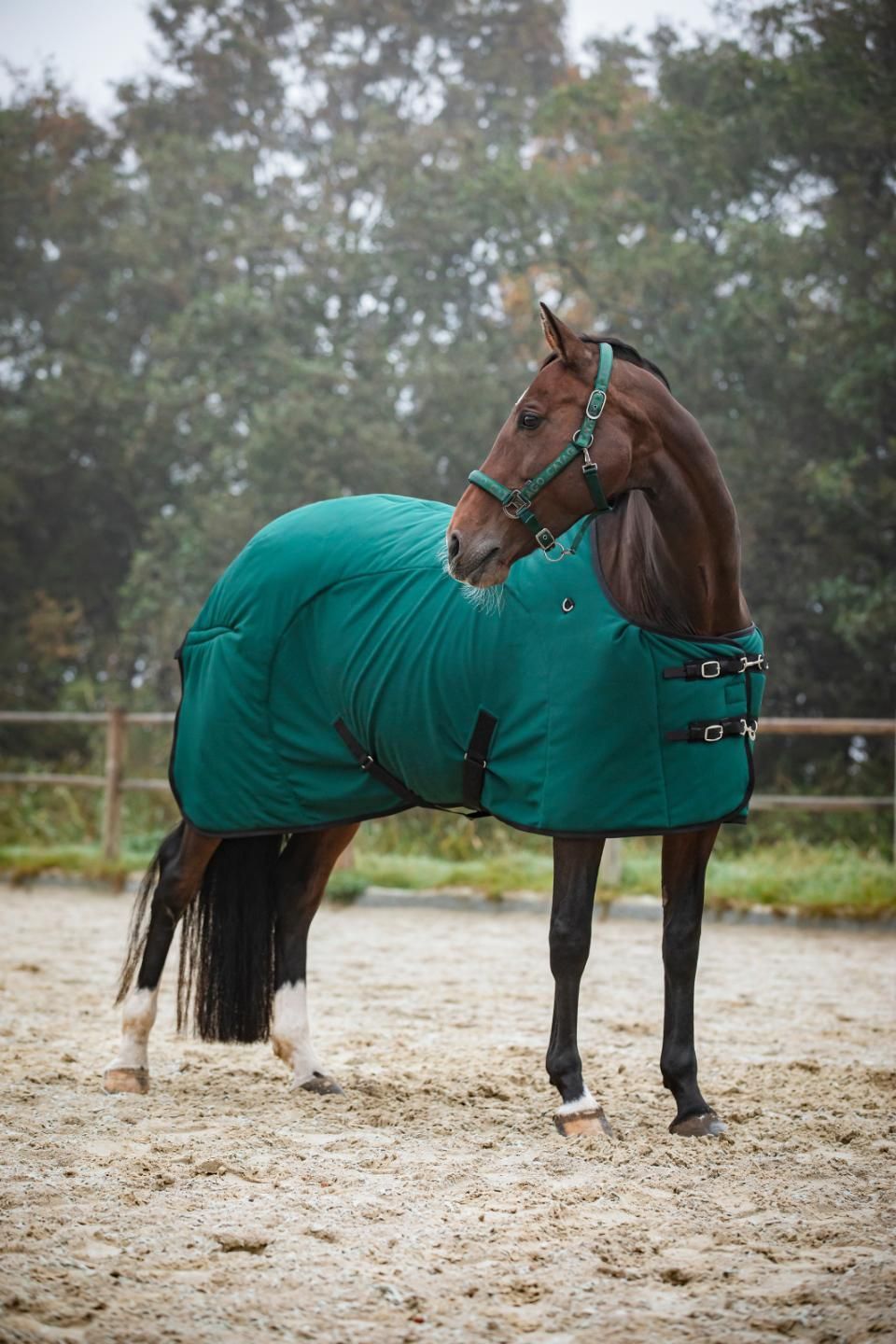 ​Catago FIR-Tech Decke – für Stall & Transport (Farbe: Ponderosa Pine)