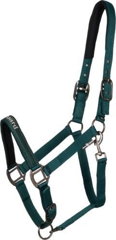 Horse Guard Sandra Halfter – stylisch & bequem