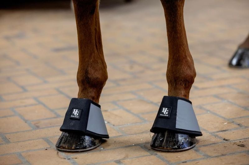 ​Horse Guard Totally Reflective Glocken – für maximale Sichtbarkeit