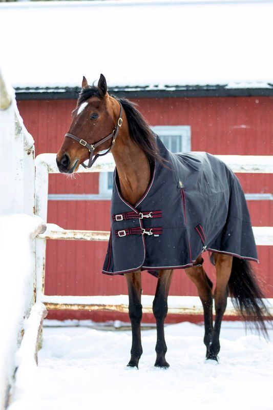 Wahlsten Trot Outdoordecke High Neck – 1200D, Schwarz