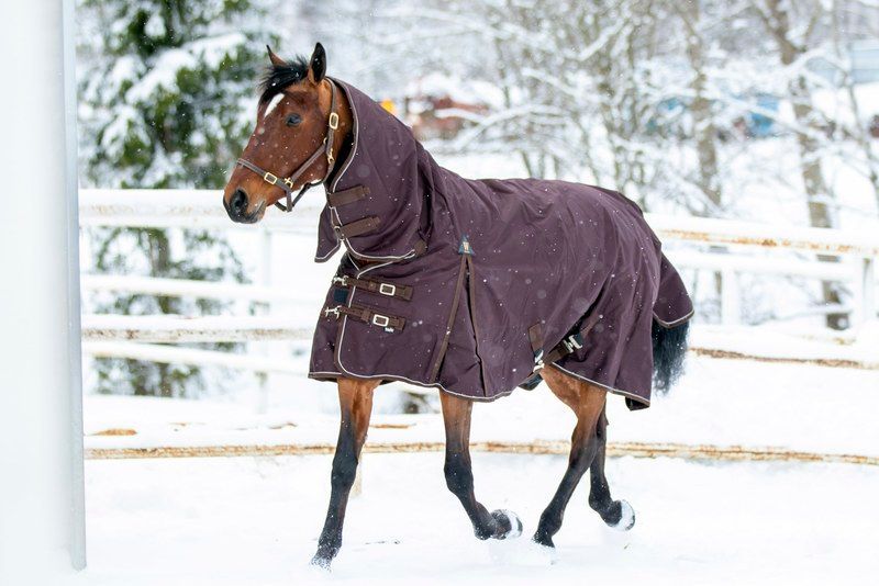 Wahlsten Slush Outdoordecke Fullneck – 600D, 150 g, Braun Wahlsten Slush Outdoordecke Fullneck – 600D, 150 g, Braun