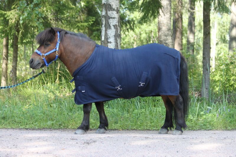 Wahlsten Abschwitzdecke – Navy Blue, mit Kreuzgurten
