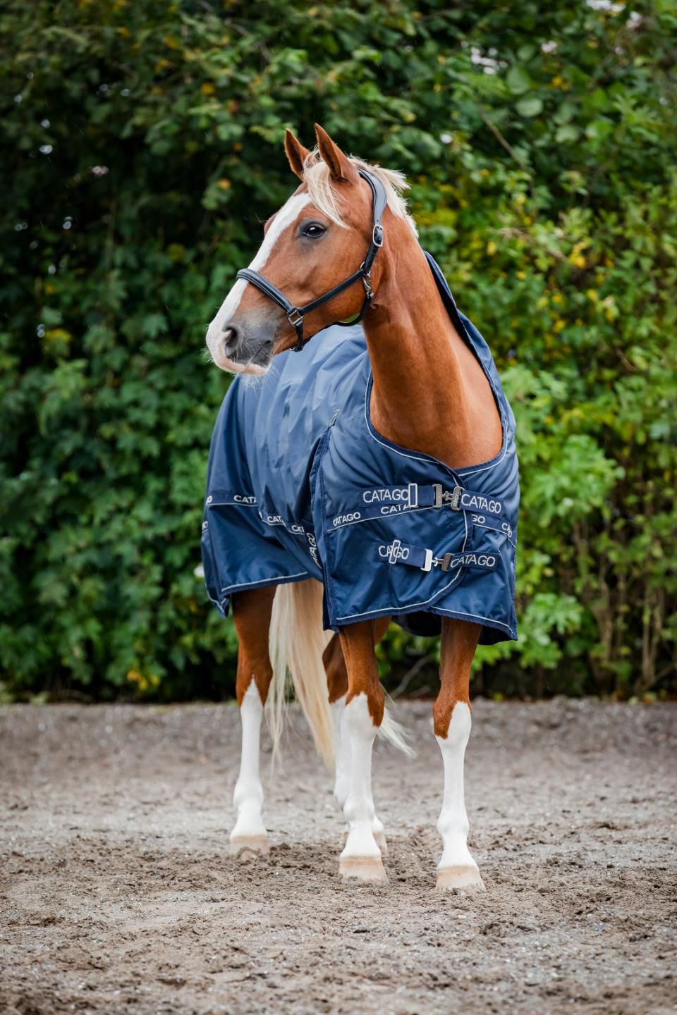 ​CATAGO Barlow Outdoordecke – 840D, 300 g, mit High Neck