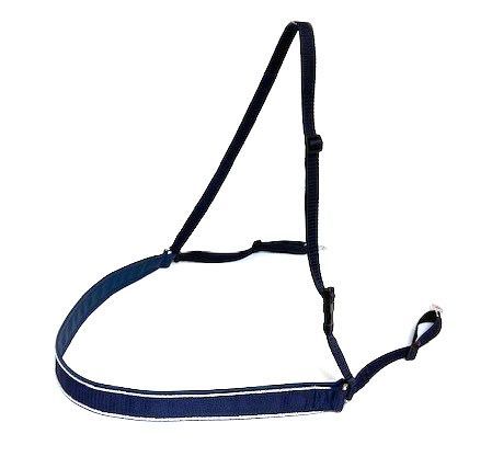 Custom Brustblatt in Wunschfarbe