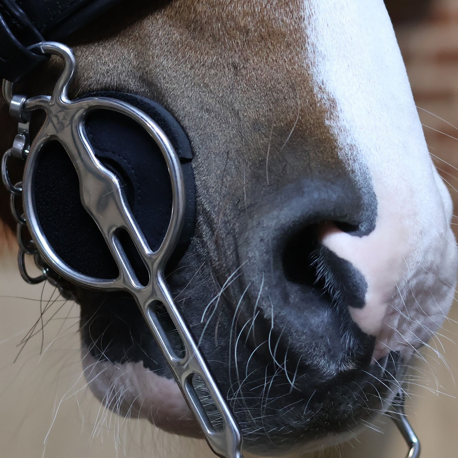 ​Metalab Neopren Gebissscheiben mit Klettverschluss