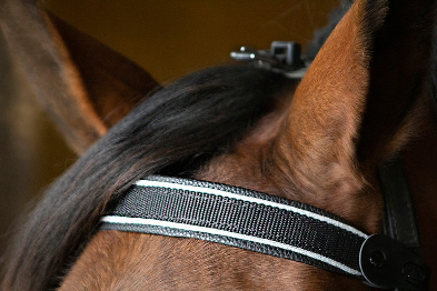 Finntack Elite Stirnband