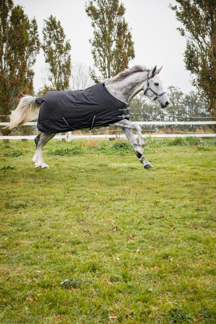 HorseGuard Turnout 200gr