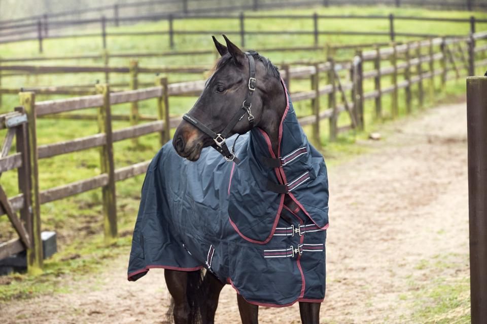 HorseGuard Turnout Decke 600D mit abnehmbarem Hals 200g