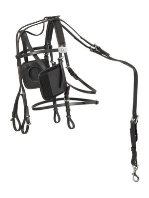 Wahlsten Zaum "Complete" mit Klappen