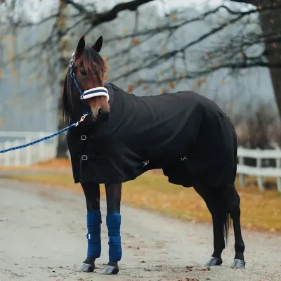 Pro Cuddle Fleece Decke