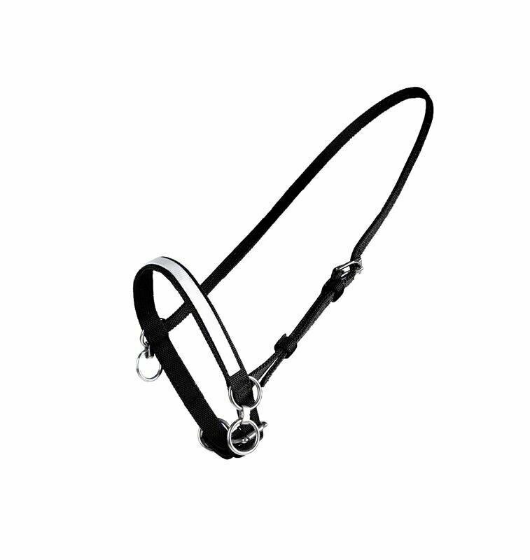 Finntack Nylon Sperrhalfter Finntack Nylon Sperrhalfter