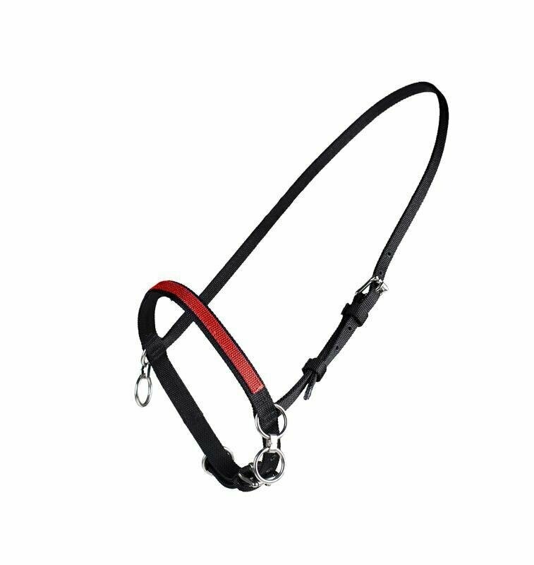 Finntack Nylon Sperrhalfter
