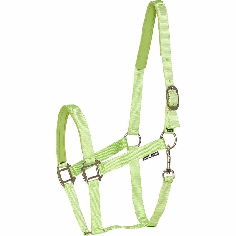 Nylonhalfter Neon
