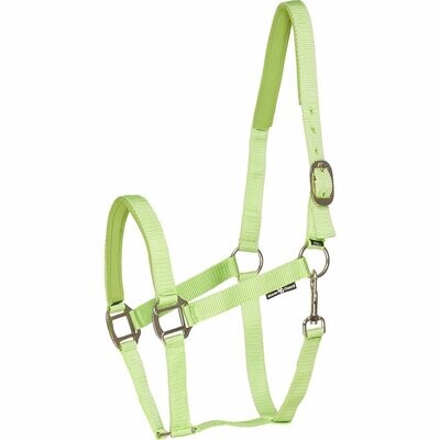 Nylonhalfter Neon