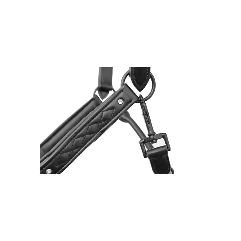 Lederhalfter "Titanium"