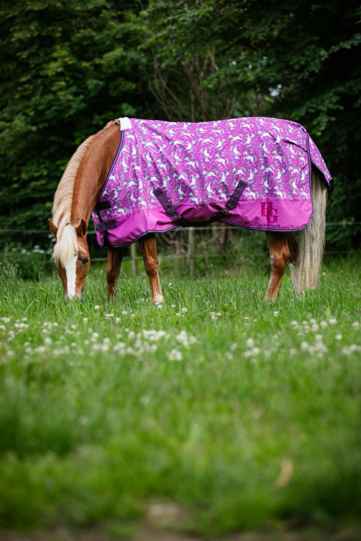 HG Josh Regendecke Pony