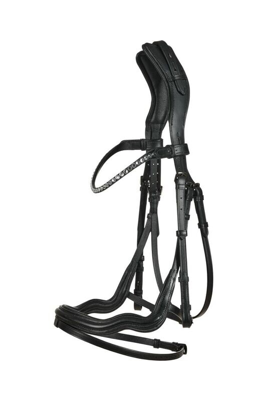 Catago Sienna Springtrense