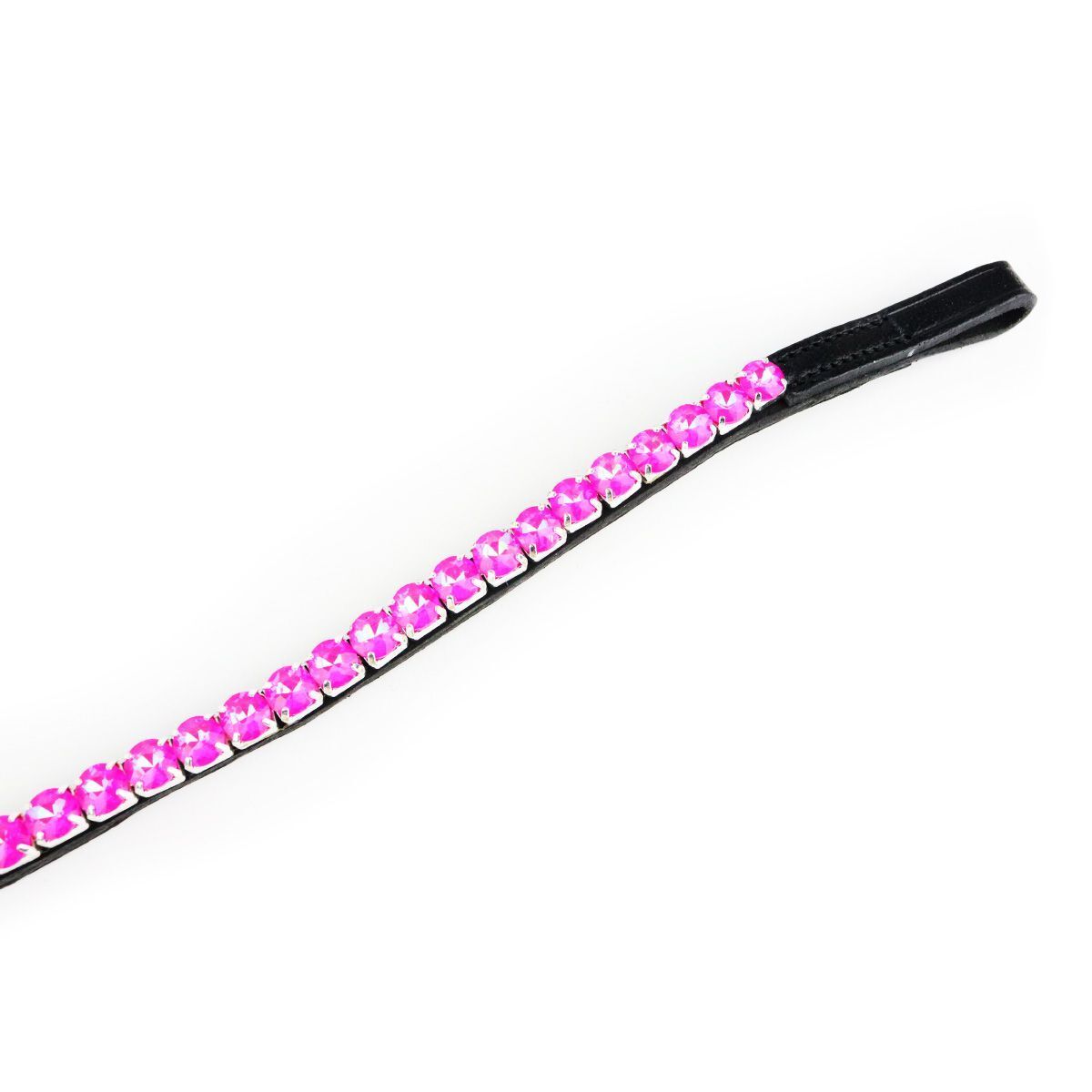 Stirnriemen Pearly Peony Equitare