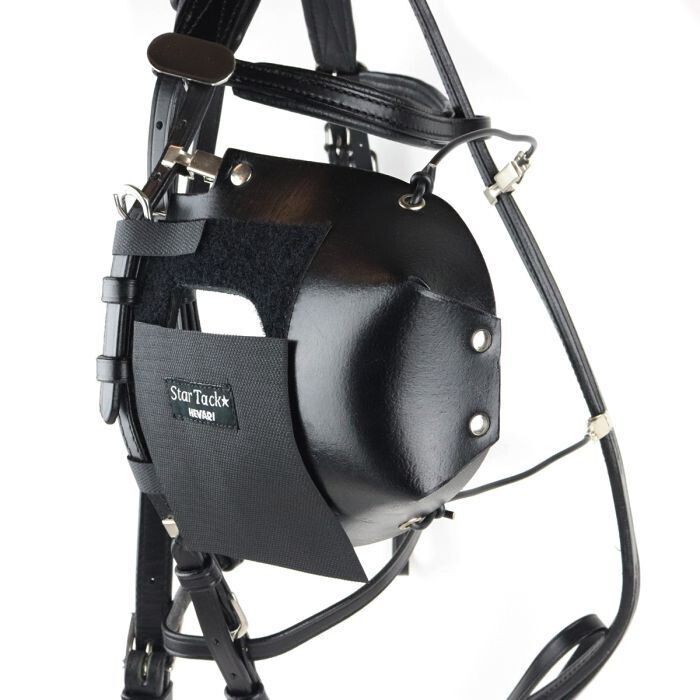 Star-Tack Murphyklappe