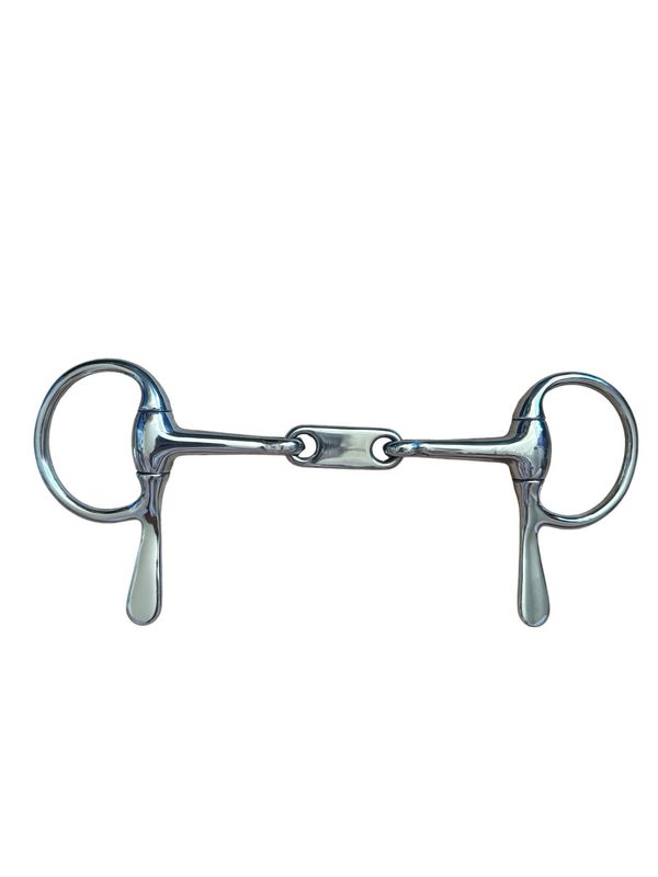 Trabergebiss Bristol