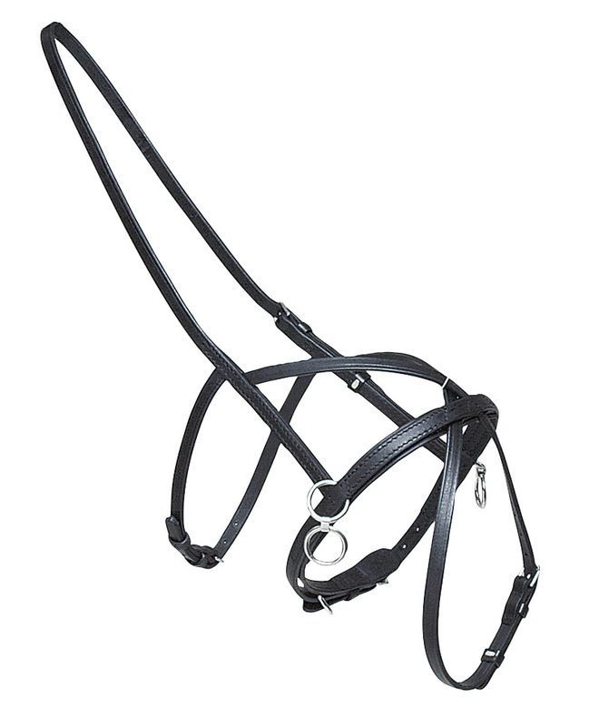 GP-Tack Leder Kreuzsperrhalfter GP-Tack Leder Kreuzsperrhalfter