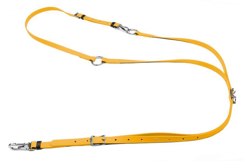 Wahlsten Martingal Beta Gelb