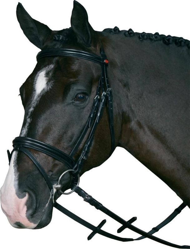 HorseGuard Trensenzaum mit Supergrip-Zügel HorseGuard Trensenzaum mit Supergrip-Zügel
