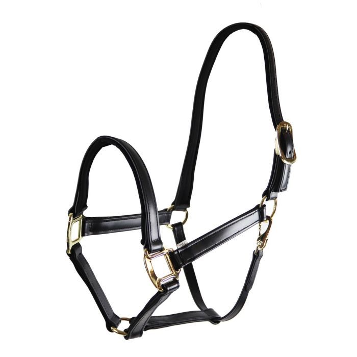 StarTack Biothane Halfter 25mm