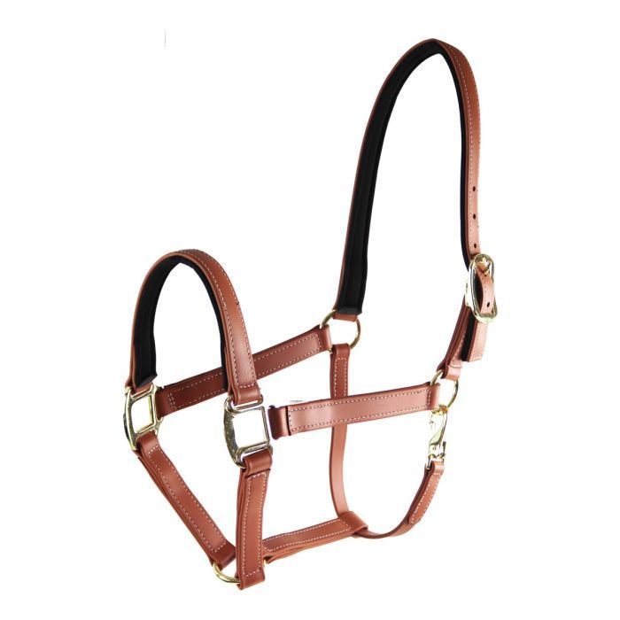 StarTack Biothane Halfter 25mm