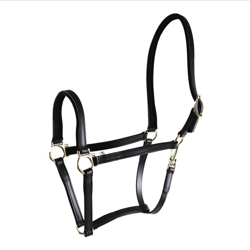 StarTack Biothane Halfter 19mm