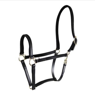 StarTack Biothane Halfter 19mm