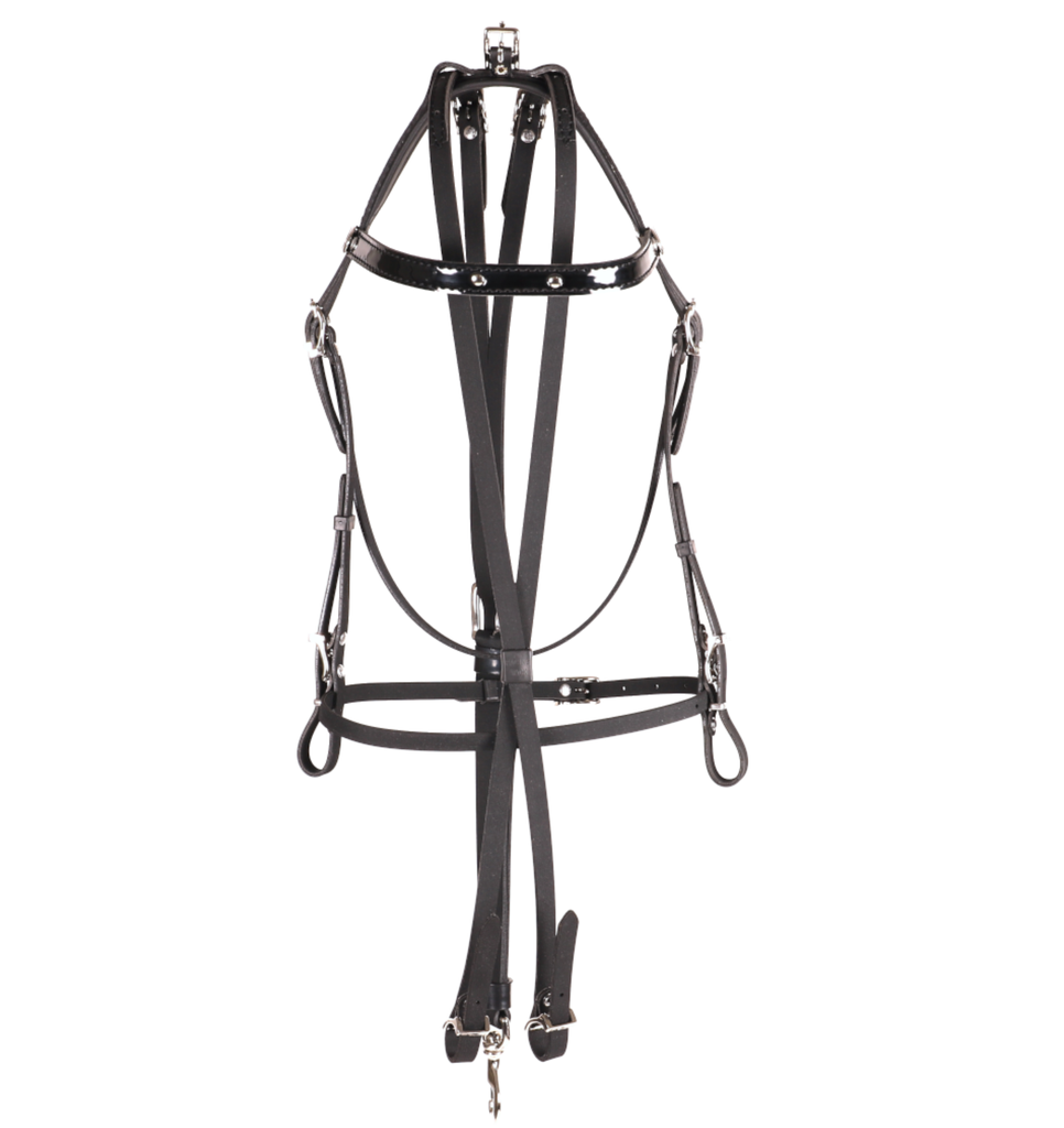 RacingTack Zaum inklusive Scheck